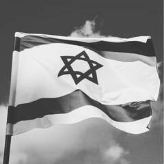 Israeli flag in grayscale